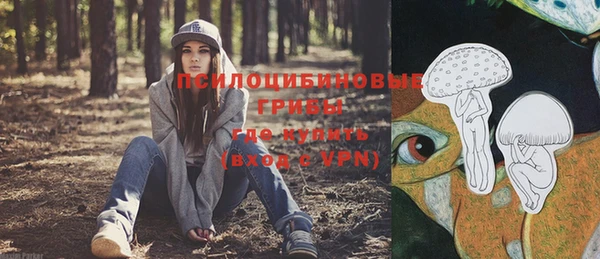 сатива Семилуки