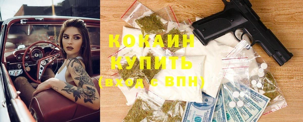 PSILOCYBIN Бородино
