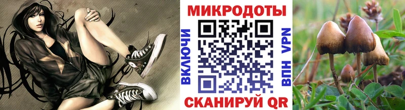 hydra онион  Каргополь  Галлюциногенные грибы GOLDEN TEACHER  сколько стоит 